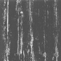 Eurofirany ZAS/LIBI/GRAF+SR 140X250 TRANSL Eurofirany ZAS/LIBI/GRAF+SR 140X250 TRANSL