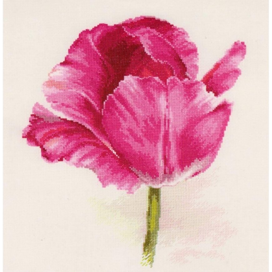 Beldizart Tulips. Crimson Glow S2-43