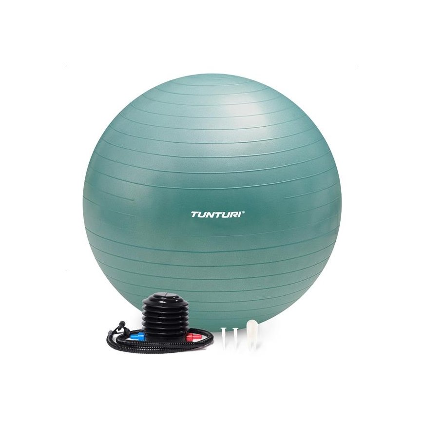 Tunturi Gymball with pump 55cm, Antiburst, Petrol