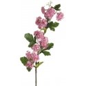 Eurofirany KW/NATU/446/Pink Pink Eurofirany KW/NATU/446/Pink Pink