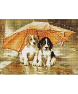 luca S Couple under umbrella SB550