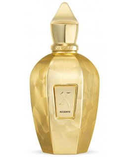 Xerjoff Accento Overdose perfume spray 100ml