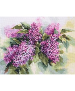 Beldizart Watercolor Lilac S2-45