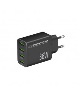 Esperanza EZC107K võrgulaadija 36W must
