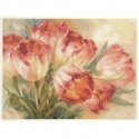 Alisa Beldizart Tulips S2-29 Alisa Beldizart Tulips S2-29