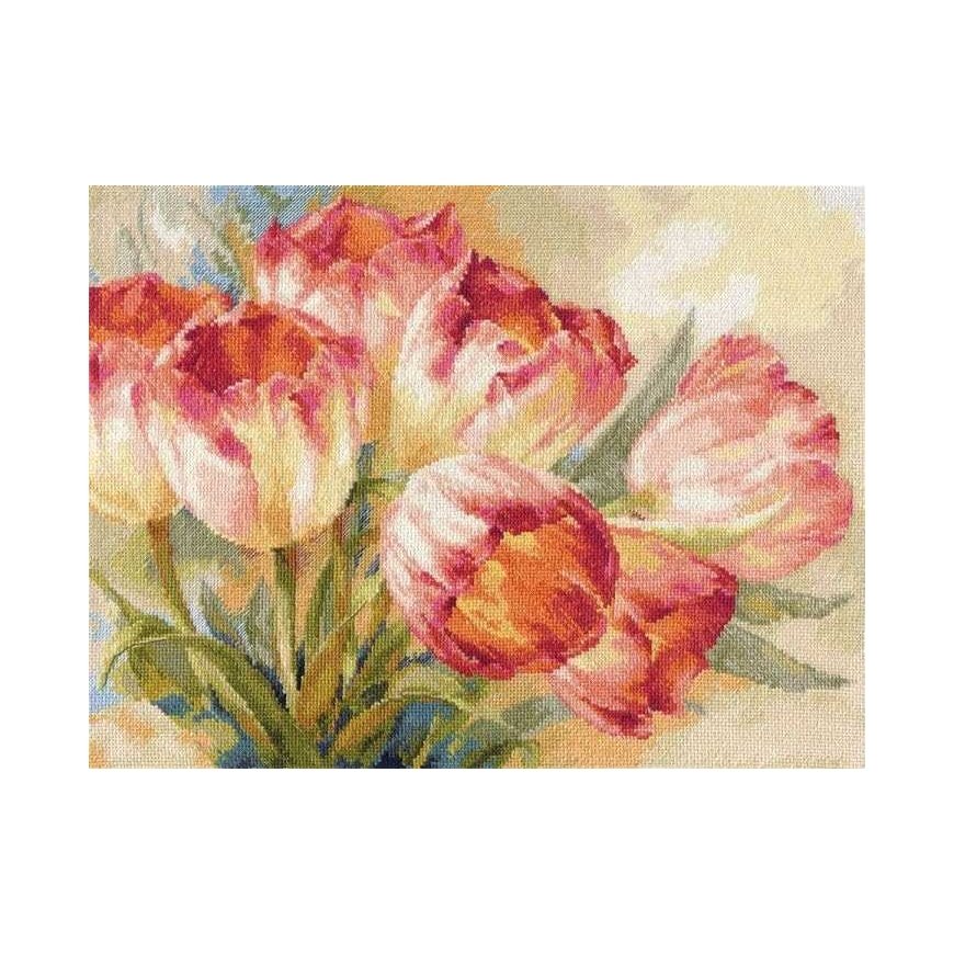 Alisa Beldizart Tulpės S2-29 – 2