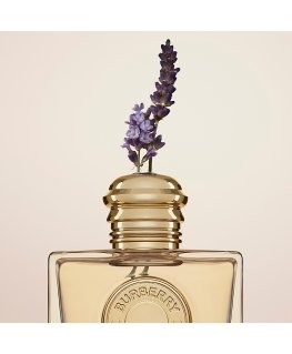 Yves Saint Laurent Libre EDP náplň - 100 ml