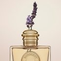 Yves Saint Laurent Libre EDP náplň - 100 ml Yves Saint Laurent Libre EDP náplň - 100 ml