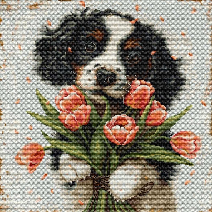 luca S Embroidery kit 27x27cm SBU5067 – 2
