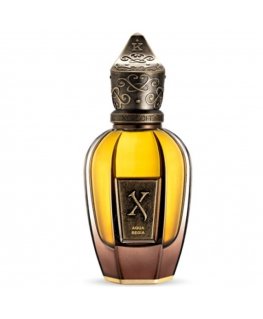 Xerjoff Kemi Collection Aqua Regia PAR U 100 ml Tester