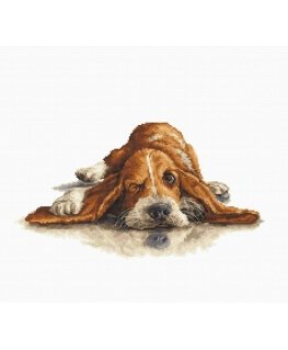 luca S Basset SB2341