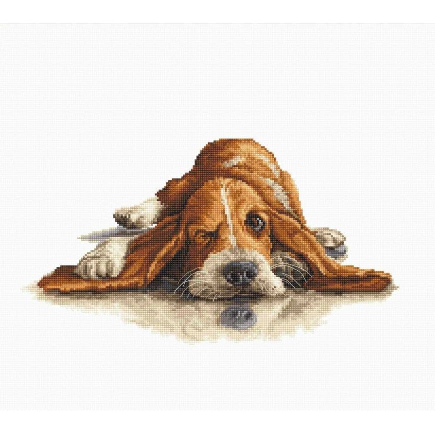 Luca-s luca S Basset SB2341