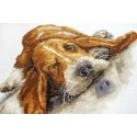 luca S Basset SB2341