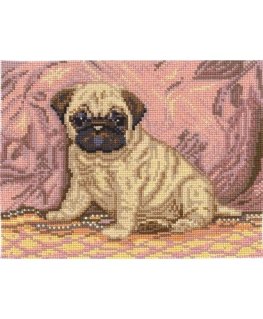 Andriana Beldizart Pug SANM-33