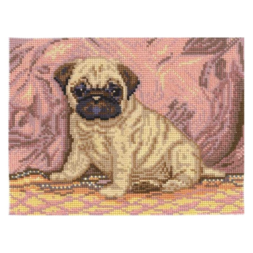 Andriana Beldizart Pug SANM-33