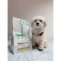 DABAS AIZSARDZĪBA Puppy Lamb - mitrā barība kucēniem - 400 g DABAS AIZSARDZĪBA Puppy Lamb - mitrā barība kucēniem - 400 g