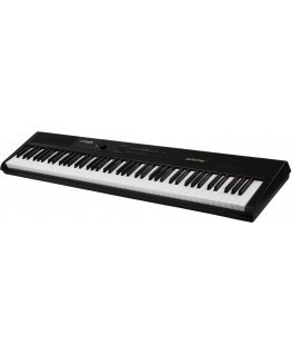 Artesia Performer Piano, musta