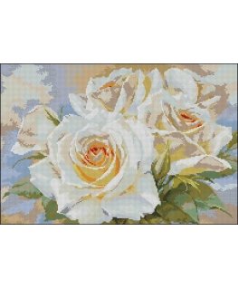 Alisa Beldizart Baltos rožės S2-32