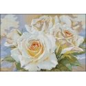 Alisa Beldizart White Roses S2-32 Alisa Beldizart White Roses S2-32