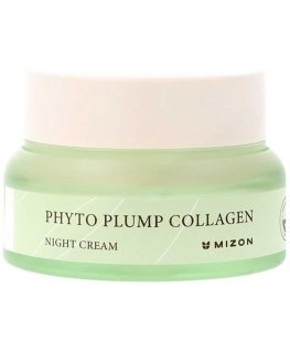Mizon PHYTO PLUMP COLLAGEN night cream 50 ml