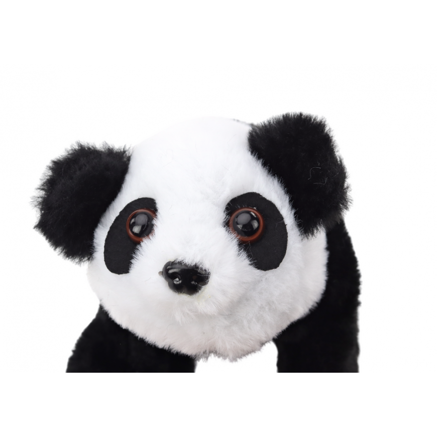 Lean Toys Interactive Plush Panda In Pink Blue Transporter – 4