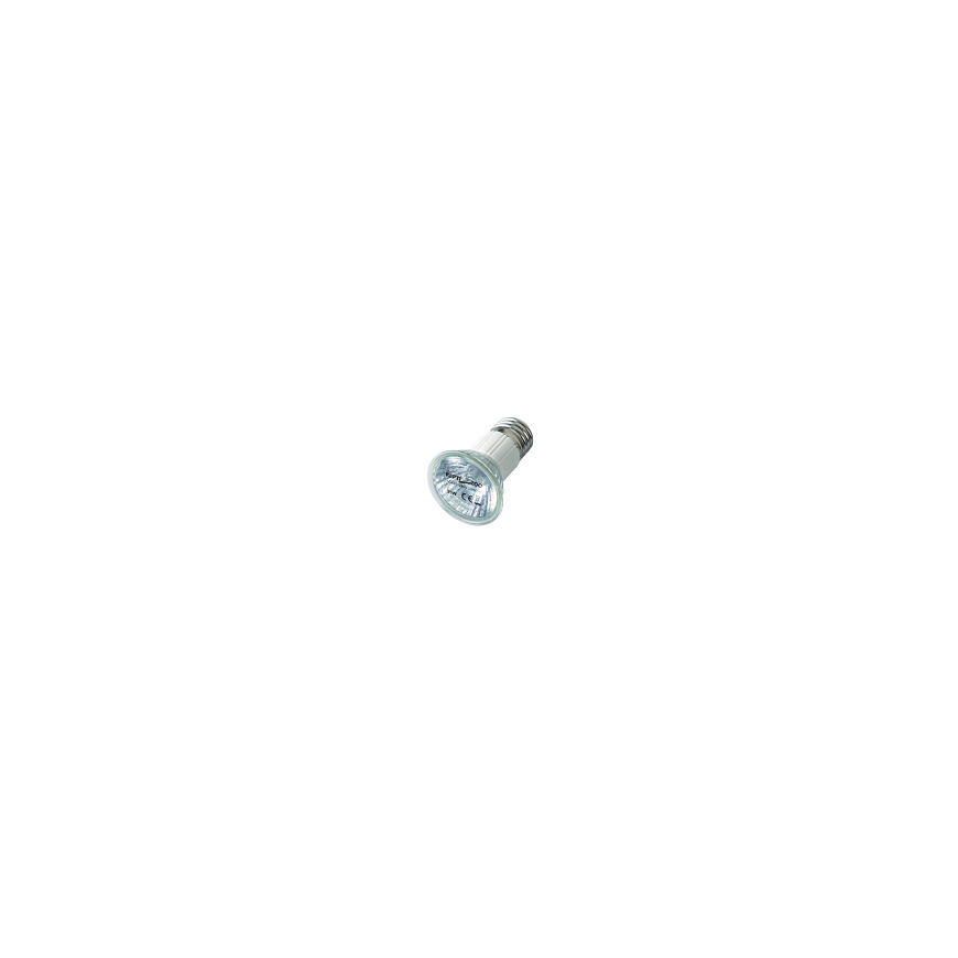 Terrarium Fogger : Repti Planet Fogger – 2