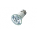 Terrarium Fogger : Repti Planet Fogger Terrarium Fogger : Repti Planet Fogger