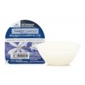 Yankee Candle Midnight Jasmine fragrant wax 22 g Yankee Candle Midnight Jasmine fragrant wax 22 g