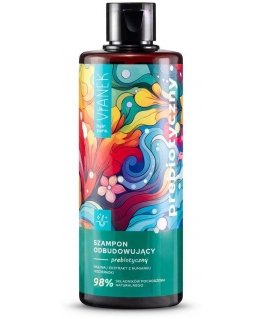 Shampoo Vianek Prebiotic, restoring, 300 ml