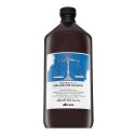 Davines Natural Tech Rebalancing Shampoo cleansing shampoo for o Davines Natural Tech Rebalancing Shampoo cleansing shampoo for o