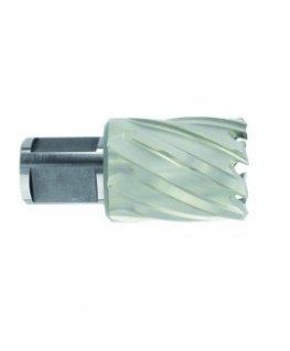 Drill bit Ecef HSS-M2 Weldon 21x30 mm