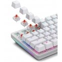 Glorious Fox Heavy Switches, mechanical, 5-pin, linear, MX-Stem, 55g - lubed, 110 pieces Glorious Fox Heavy Switches, mechanical, 5-pin, linear, MX-Stem, 55g - lubed, 110 pieces