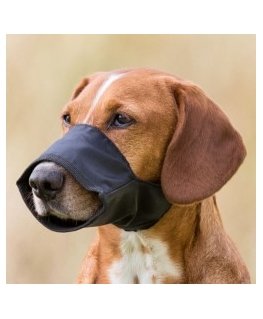 Muzzle for dogs - Trixie Muzzle, Nylon. Size L-XL, Snoup strap 3