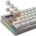 Glorious Panda Silent Switches, mechanisch, 5-Pin, taktil, MX-Stem, 50g - lubed, 36 Stück Glorious Panda Silent Switches, mechanisch, 5-Pin, taktil, MX-Stem, 50g - lubed, 36 Stück