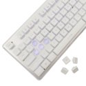 White Shark GK-003241 Tachi White US White Shark GK-003241 Tachi White US