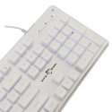 White Shark GK-003241 Tachi White US White Shark GK-003241 Tachi White US