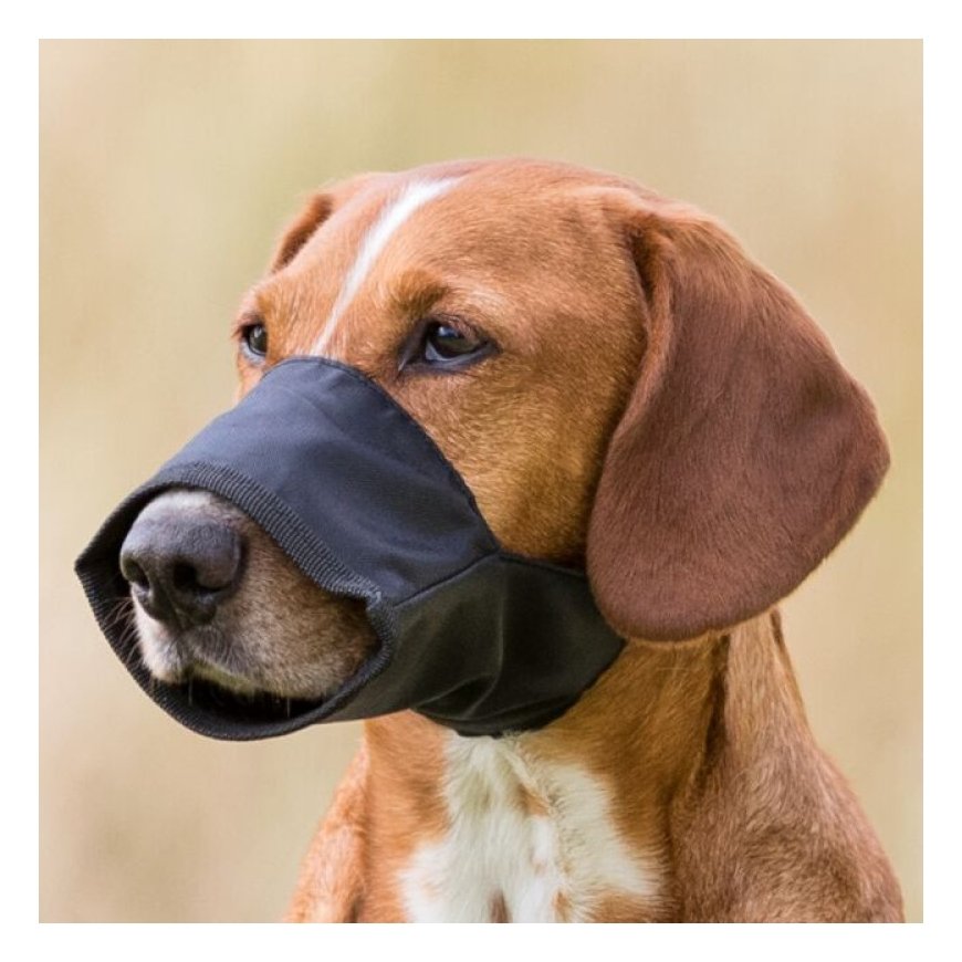 Muzzle for dogs - Trixie Muzzle, Nylon. Size XXS, Snoup strap 12 – 2