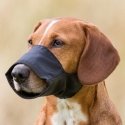 Muzzle for dogs - Trixie Muzzle, Nylon. Size XXS, Snoup strap 12 Muzzle for dogs - Trixie Muzzle, Nylon. Size XXS, Snoup strap 12
