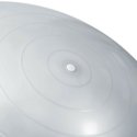 Neo-Sport Exercise ball 75 cm NS-952 silver Neo-Sport Exercise ball 75 cm NS-952 silver