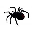 Lean Cars Big Hairy Spider Black Widow Remote Controlled Lean Cars Big Hairy Spider Black Widow Remote Controlled