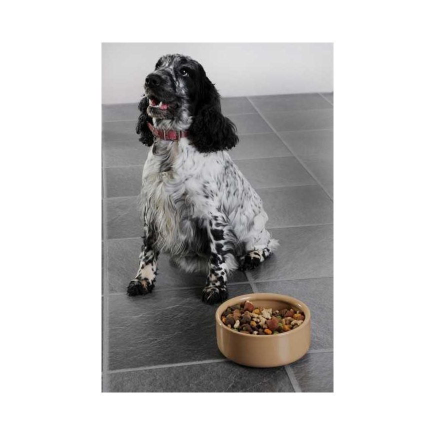 MASON CASH (RAYWARE GROUP) 18 cm gyvūnų dubuo – 4