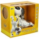 N\A RC robotas šuo šokinėja vaikšto N\A RC robotas šuo šokinėja vaikšto