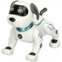 N\A RC robot dog jumps walks