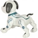 N\A RC robot dog jumps walks
