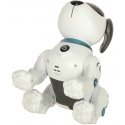 N\A RC robotas šuo šokinėja vaikšto N\A RC robotas šuo šokinėja vaikšto