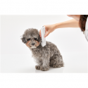 PETKIT 2 in 1 Pet Trimmer White PETKIT 2 in 1 Pet Trimmer White