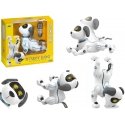 Lean Toys Interaktyvus šokantis robotas šunų muzika, valdomas nuotoliniu būdu Lean Toys Interaktyvus šokantis robotas šunų muzika, valdomas nuotoliniu būdu