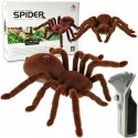 Ikonk Nuotoliniu būdu valdomas TARANTULA voras