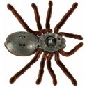 Ikonk Remote controlled TARANTULA spider Ikonk Remote controlled TARANTULA spider