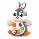 Dancing Rabbit Dancing Rabbit